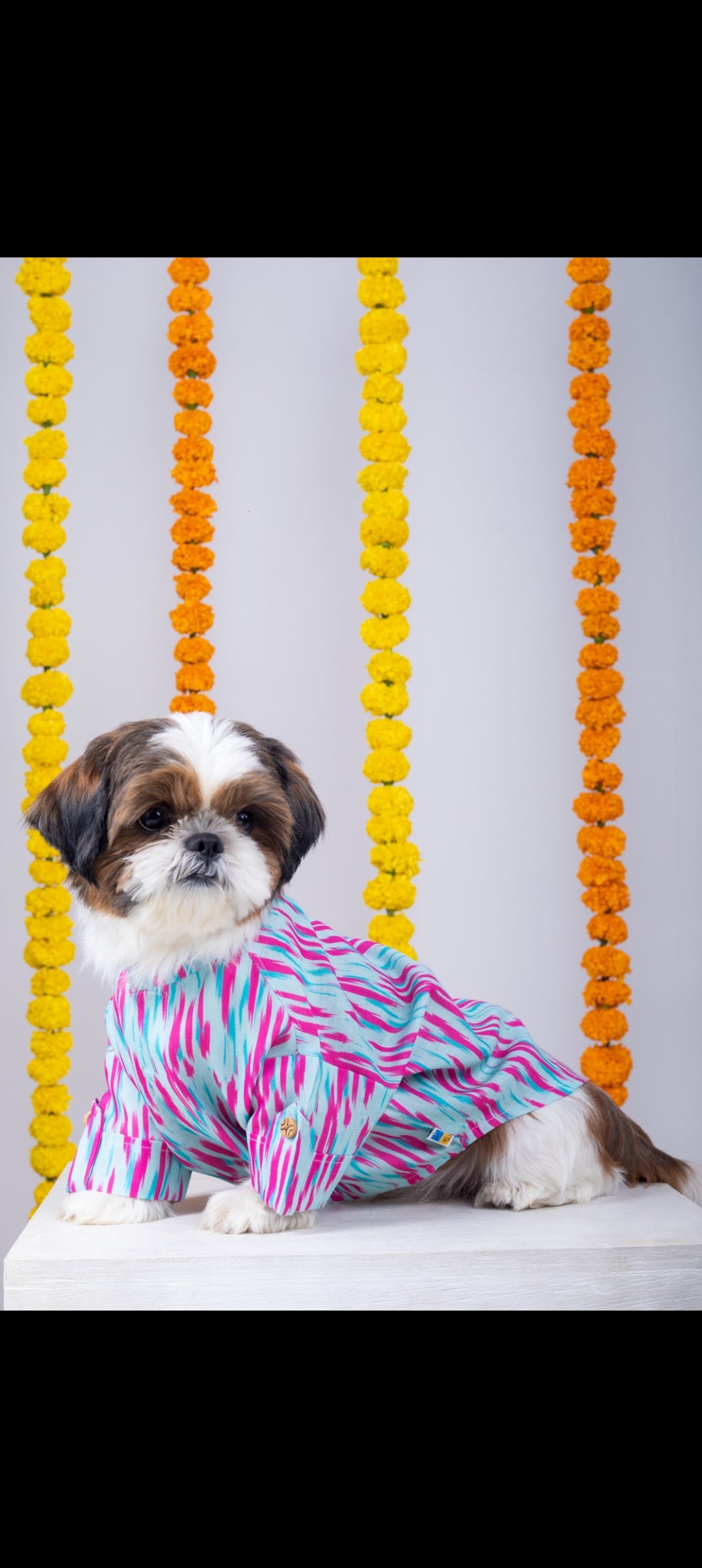 15 Furries Phataka Dog Kurta