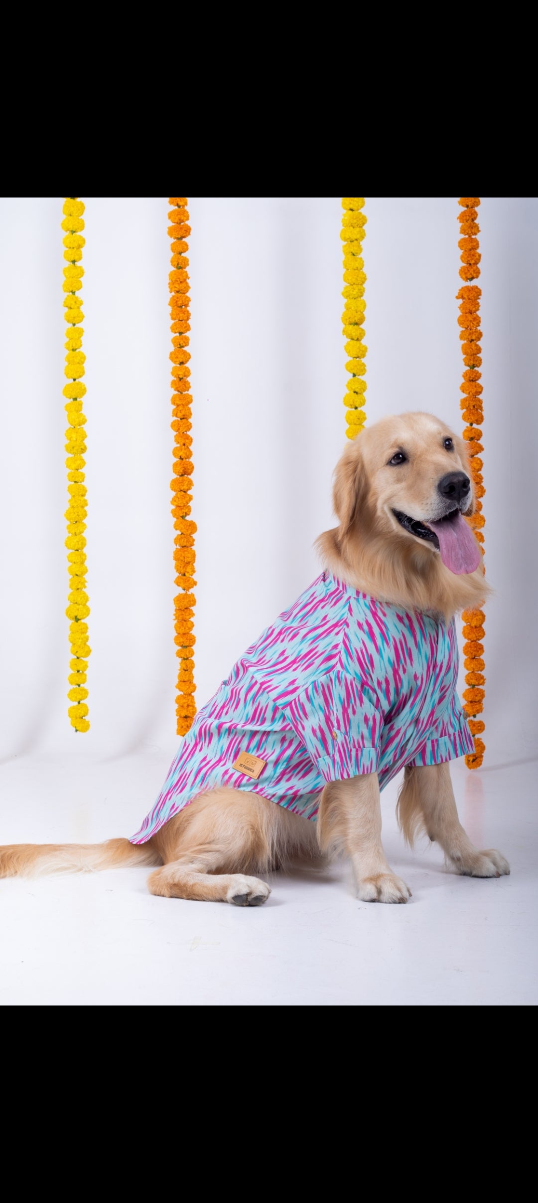 15 Furries Phataka Dog Kurta
