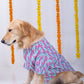 15 Furries Phataka Dog Kurta