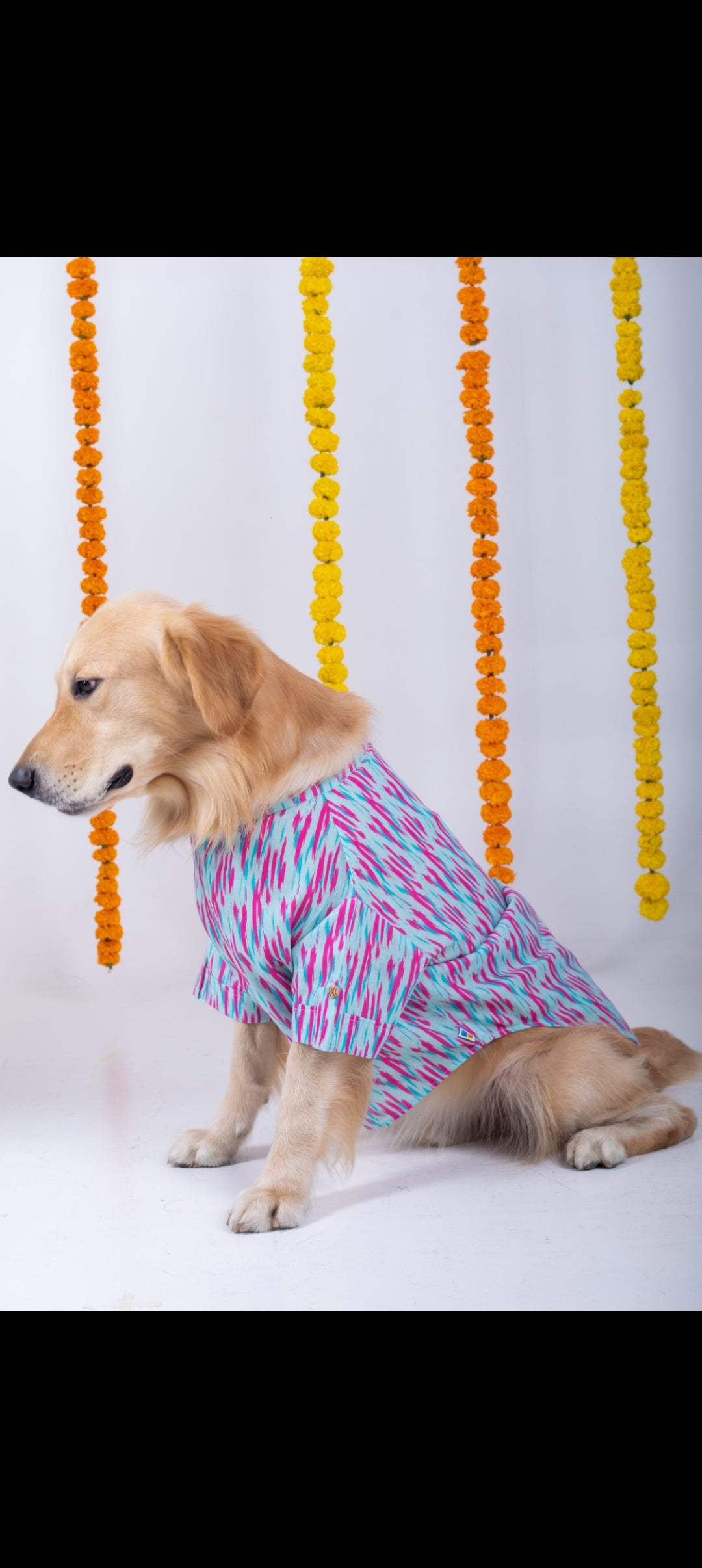 15 Furries Phataka Dog Kurta