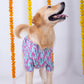 15 Furries Phataka Dog Kurta