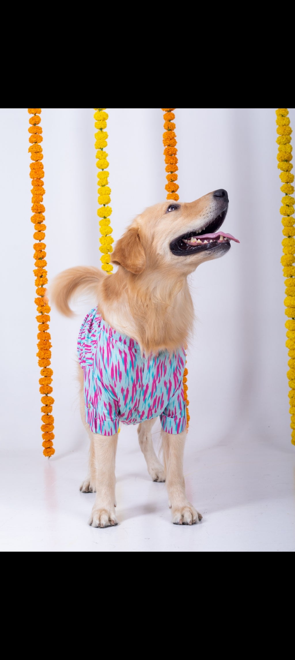 15 Furries Phataka Dog Kurta