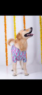 15 Furries Phataka Dog Kurta