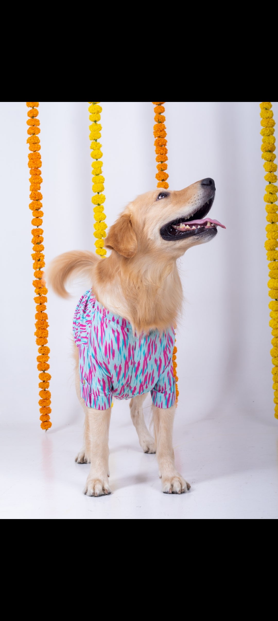 15 Furries Phataka Dog Kurta