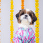 15 Furries Phataka Dog Kurta