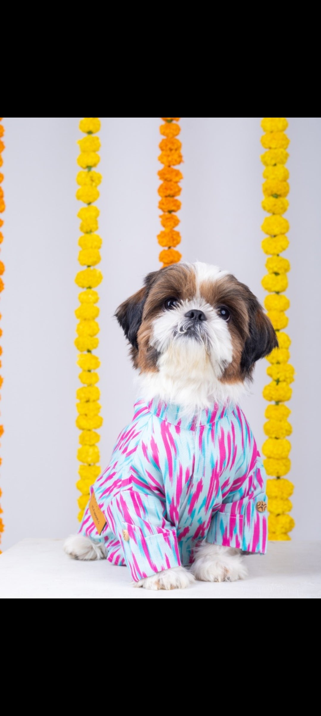 15 Furries Phataka Dog Kurta