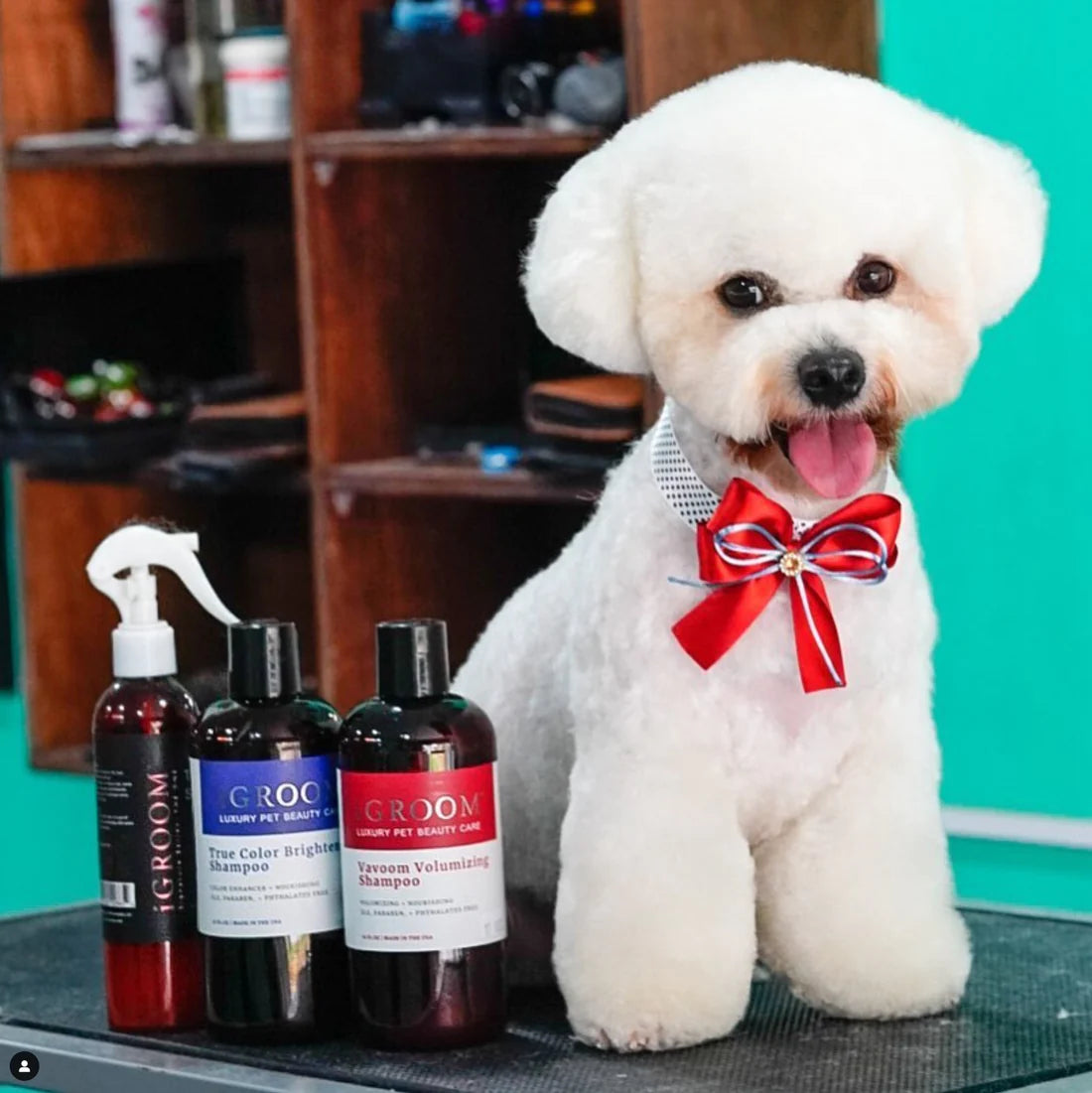 iGroom Vavoom Volumizing Shampoo For Dog