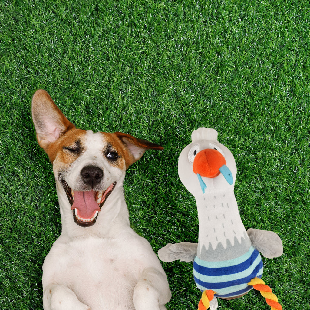 FOFOS Sealife Toy Sea Mew For Dogs 11 x 11 x 38cm