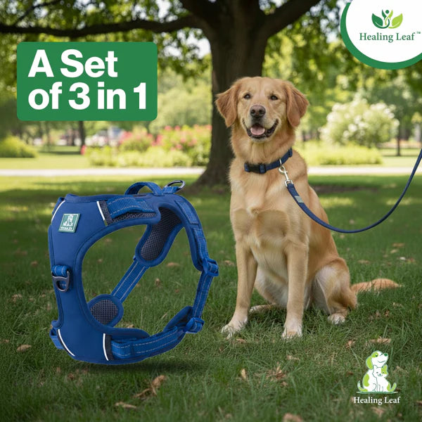 Healing Leaf Set of 3 Collar l Harness l Leash For Dogs l Teal Blue