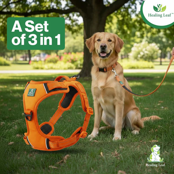 Healing Leaf Set of 3 Collar l Harness l Leash For Dogs l Orange