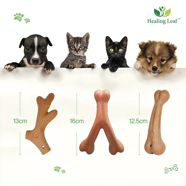 Healing Leaf Wooden chew Toys Bone For Dogs 11 x 3 x 0.5cm