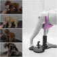 Aeolus Dog Grooming Saddle