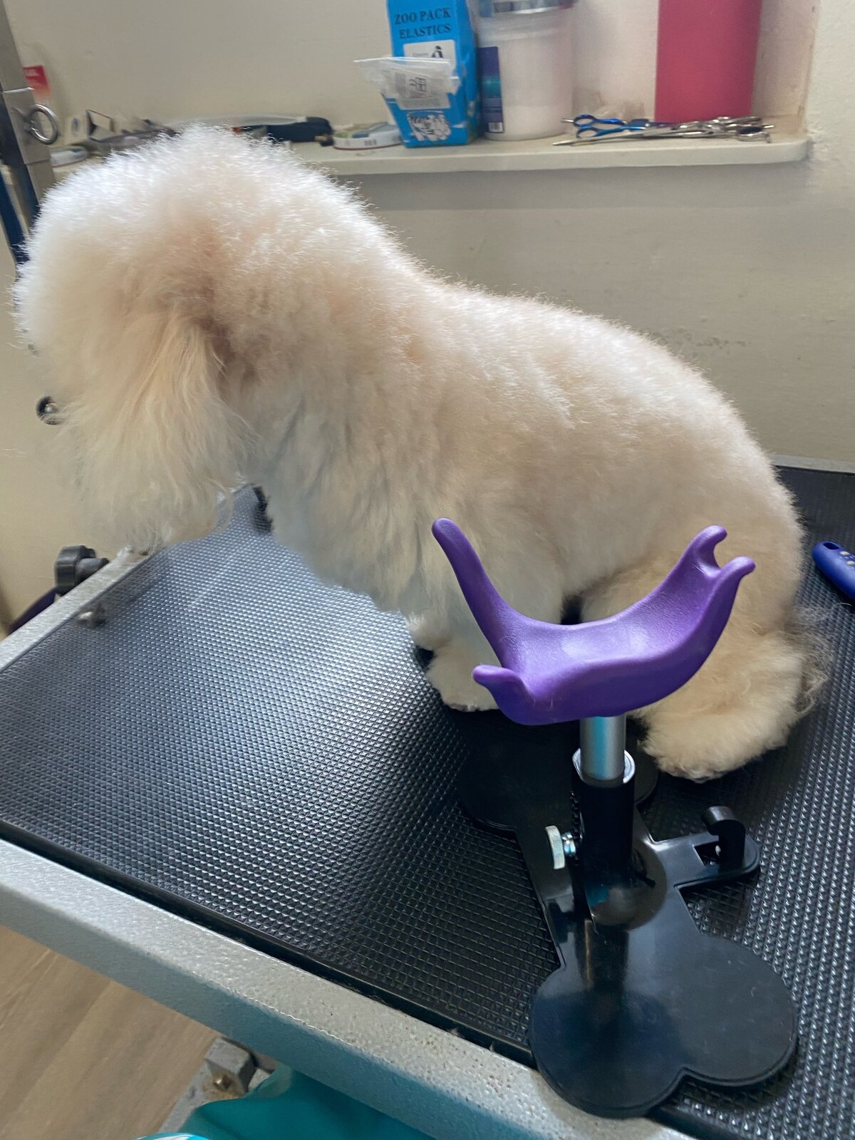 Aeolus Dog Grooming Saddle