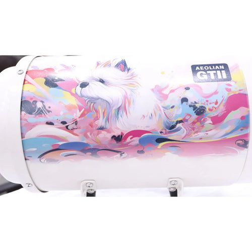 Aeolus Aeolian Blaster II Ametek – Powerful 2800W Single Motor Pet Dryer