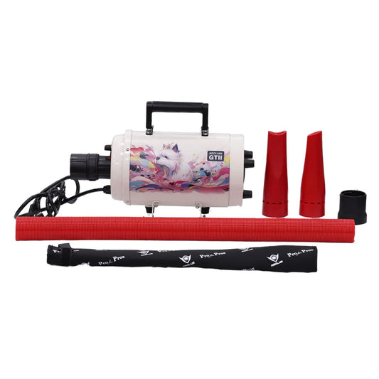 Aeolus Aeolian Blaster II Ametek – Powerful 2800W Single Motor Pet Dryer