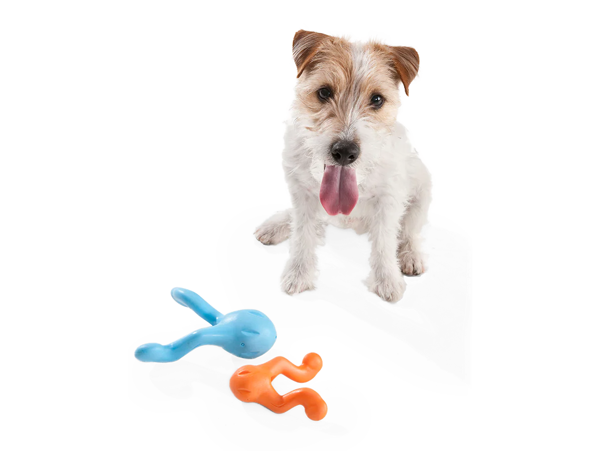 West Paw Zogoflex Tizzi Fetch Play Toy for Dogs - Granny Smith