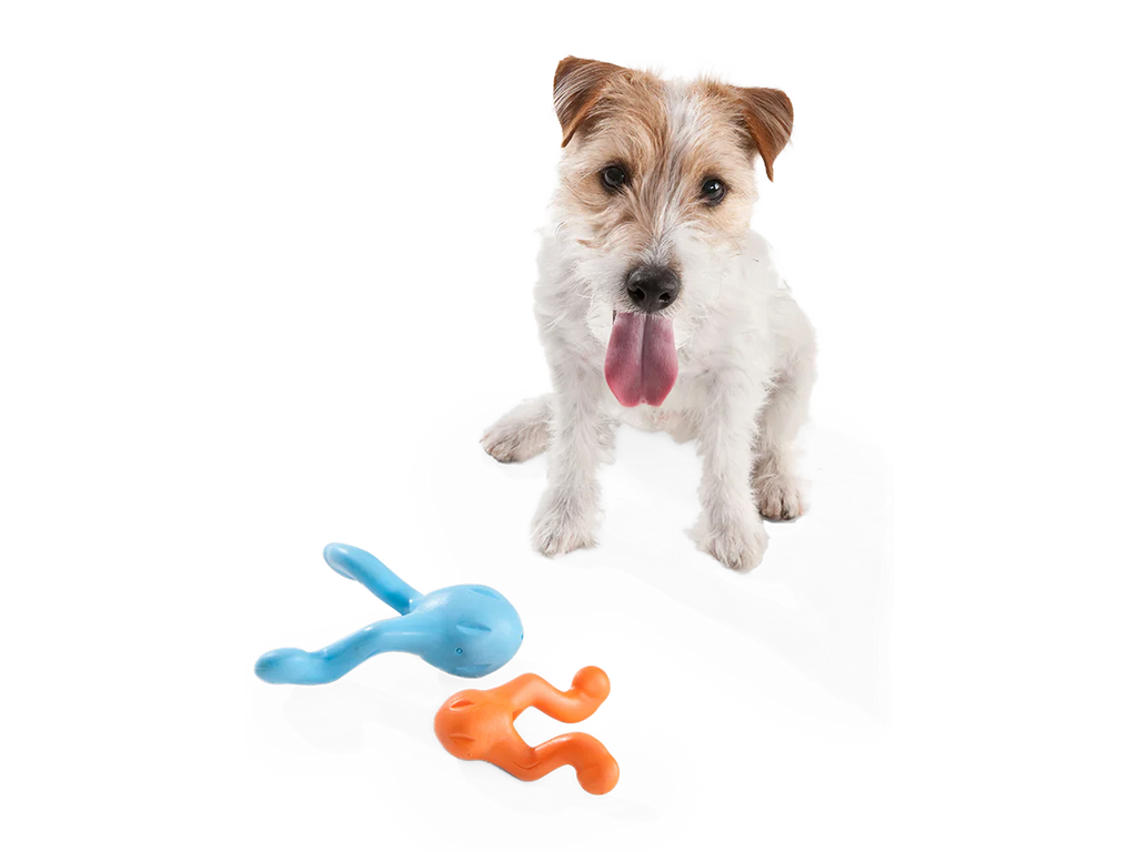West Paw Zogoflex Tizzi Fetch Play Toy for Dogs - Granny Smith