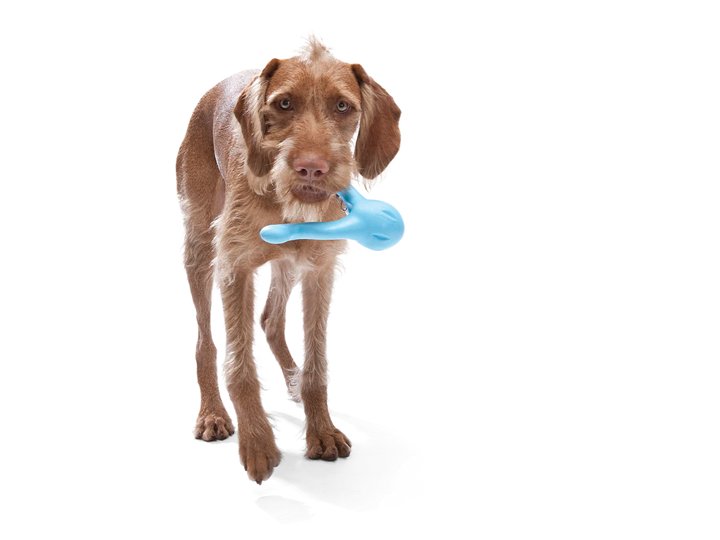 West Paw Zogoflex Tizzi Fetch Play Toy for Dogs - Granny Smith