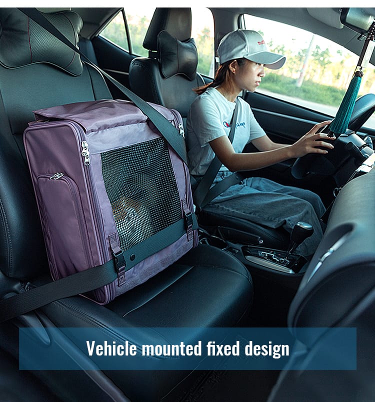 Truelove Airflow Premium Backpack Carrier I 41 x 25 x 46cm I Colors May Vary