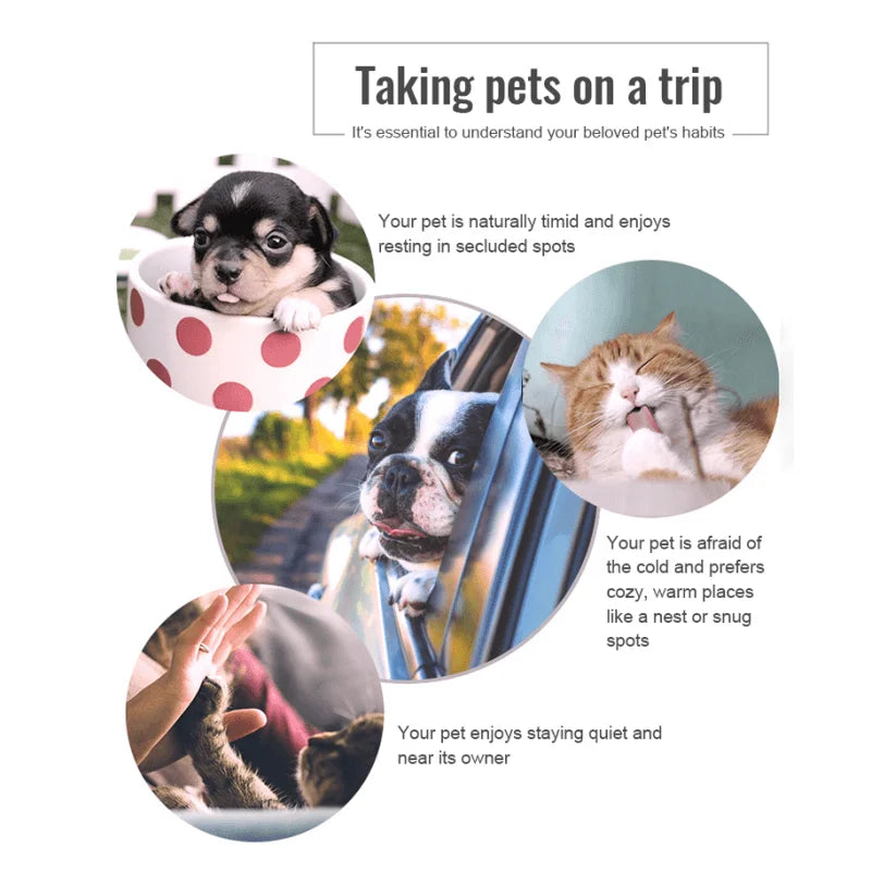 Truelove 3 Side Expandable Duffle Carrier I Medium I 44 x 28 x 25cm I Colors May Vary