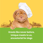 Dogfest Training treats Turkey & Flax seeds Dog Treat 90g