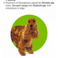 MSD Animal Health Bravecto 1 Chewable Tablet For Flea/Tick & Deworming Dogs (10 Kg - 20 Kg)