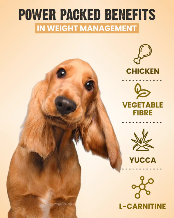 Vivaldis Bark Out Loud Weight Control Dog Pillow Treat For Dogs 100g