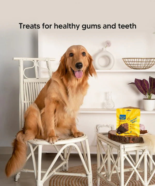 Vivaldis Bark Out Loud Dental Sticks Oral Hygiene Treats For Dog 110g