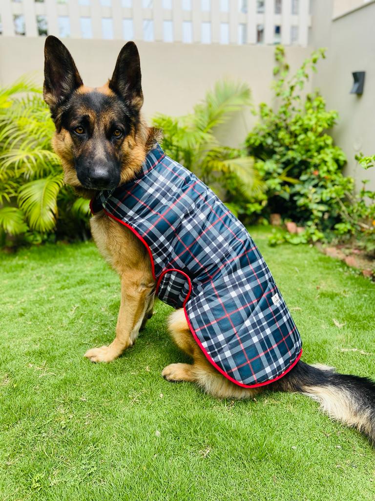 Caninkart Check Printed Jacket For Your Furry Friend - Grey