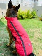 Caninkart Reflective Jackets For Your Furry Friend - Light Pink