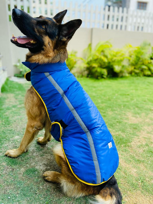 Caninkart Reflective Jacket For Your Furry Friend - Blue