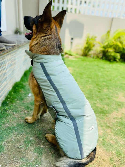 Caninkart Reflective Jacket For Your Furry Friend - Green