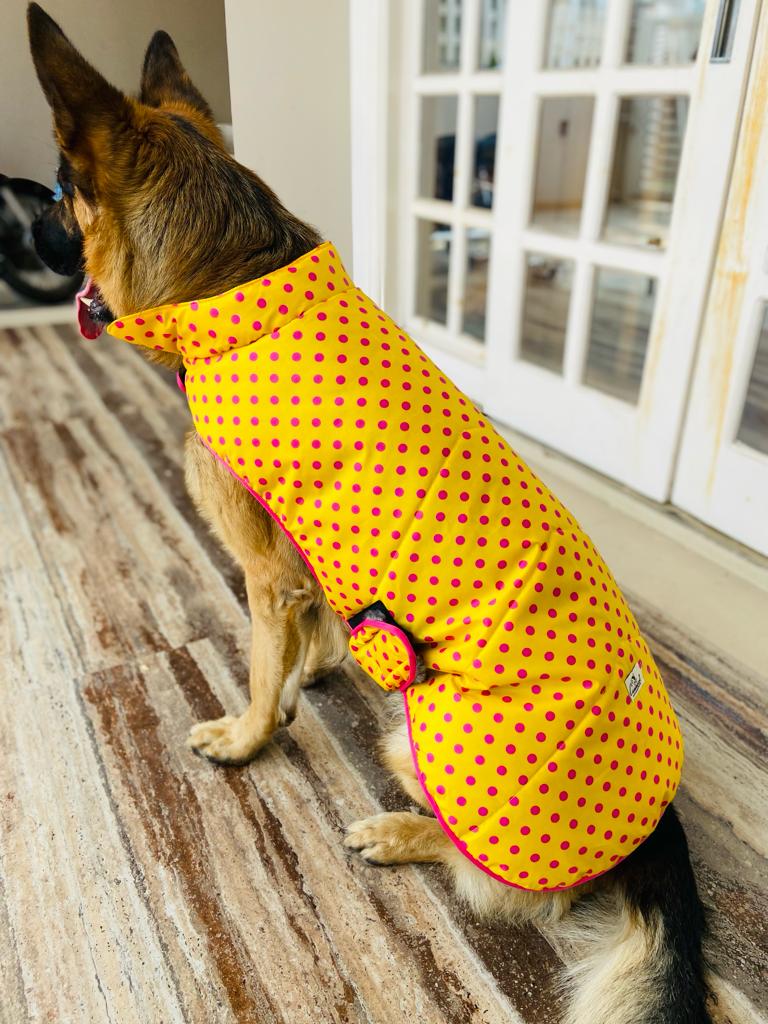 Caninkart Printed Jacket For Your Furry Friend - Yellow Polka Dots