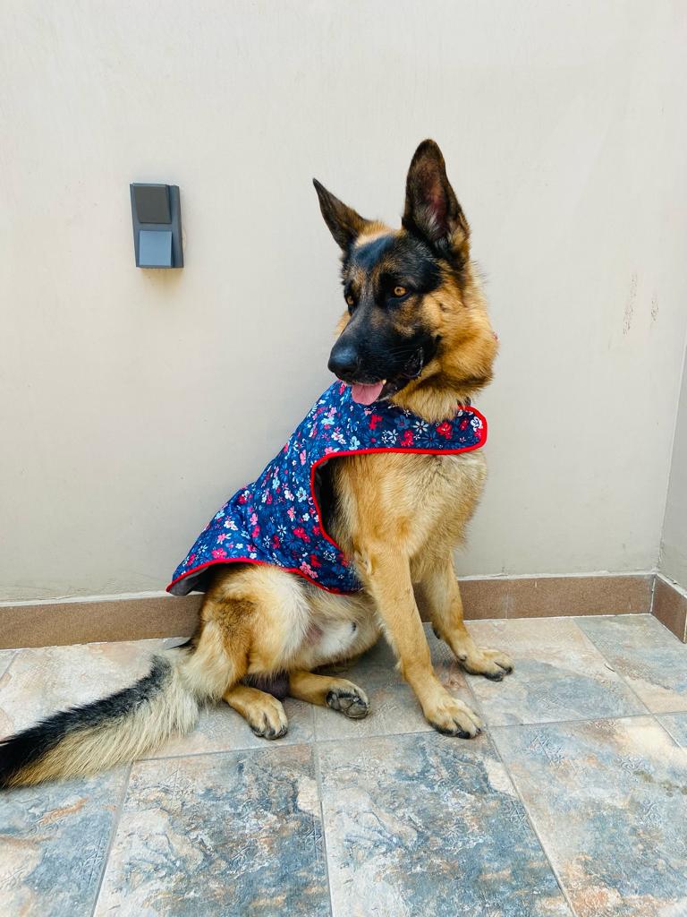 Caninkart Printed Jacket For Your Furry Friend - Blue Blossom