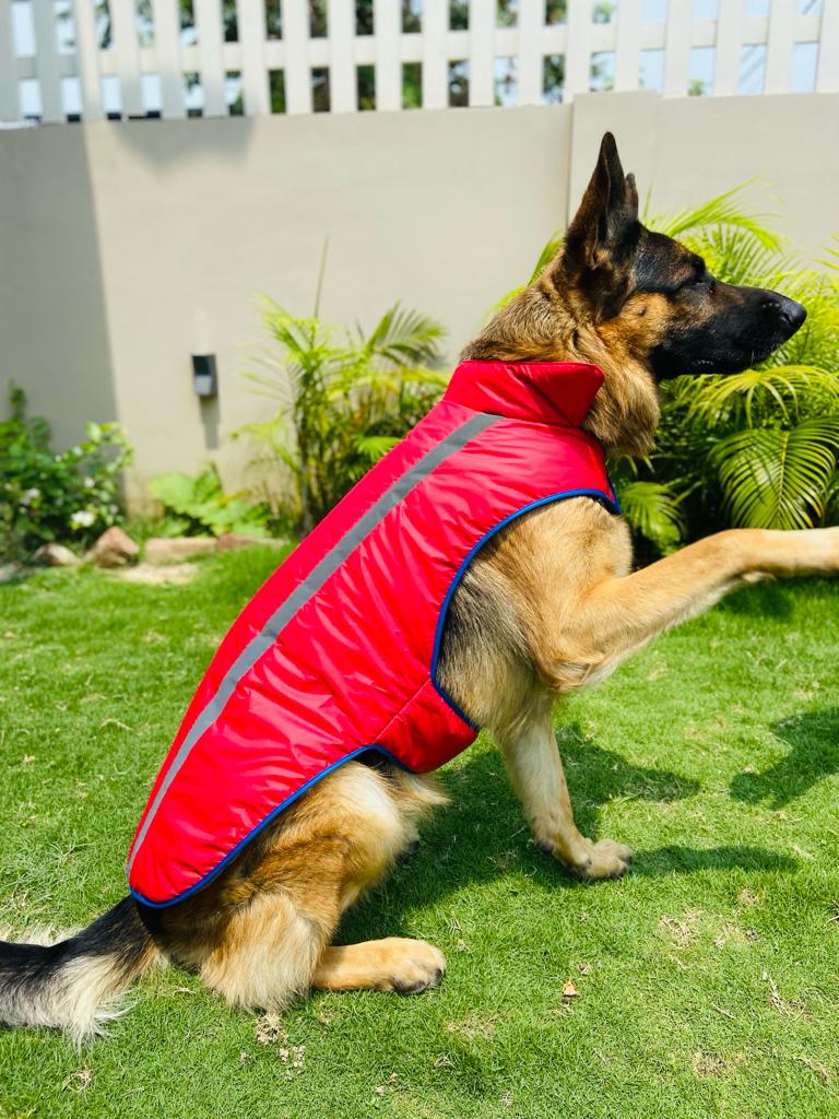 Caninkart Reflective Jacket For Your Furry Friend - Red