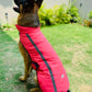 Caninkart Reflective Jackets For Your Furry Friend - Light Red
