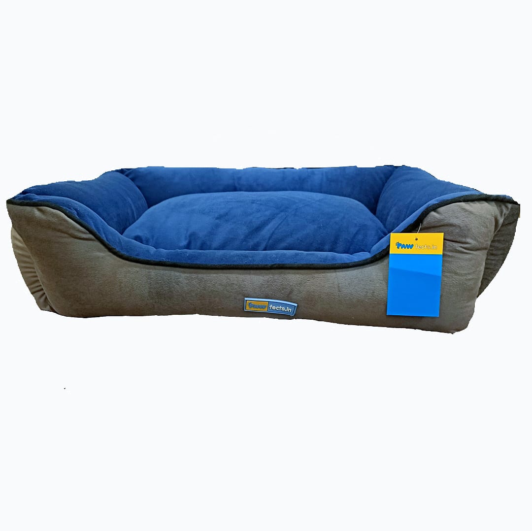 Pawfect Blue Lounger Bed For Your Furry Friend