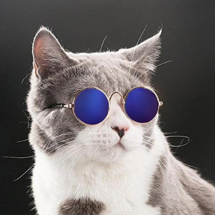 Tails Nation Cat Sunglasses