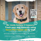 Kennel Genie Pet Tracker Kit Adjustable Collar For Dogs and Cats Work with Android