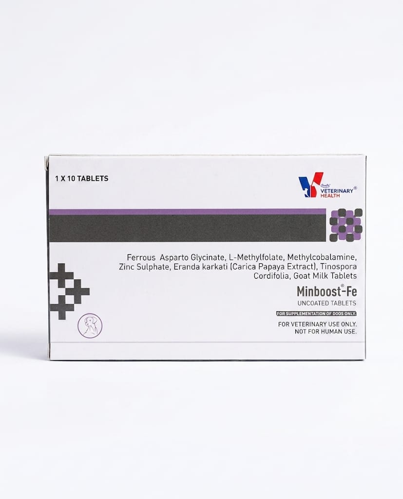 Drools Minboost Fe Tablets Supplement for Dogs 1 x 10 Tablets