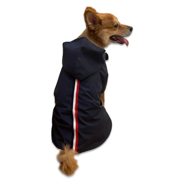 Pet Snugs Navy Blue Windcheater For Your Furry Friend