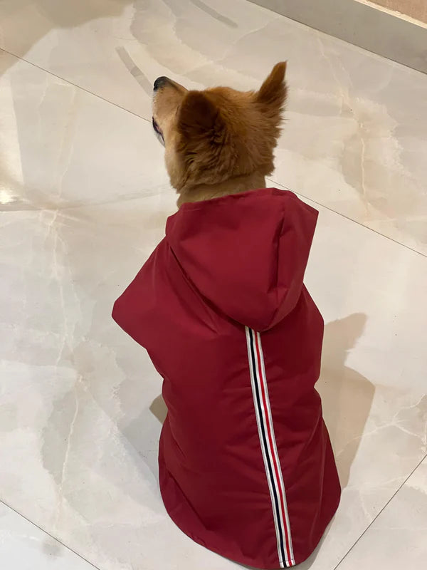 Pet Snugs Maroon Windcheater For Your Furry Friend