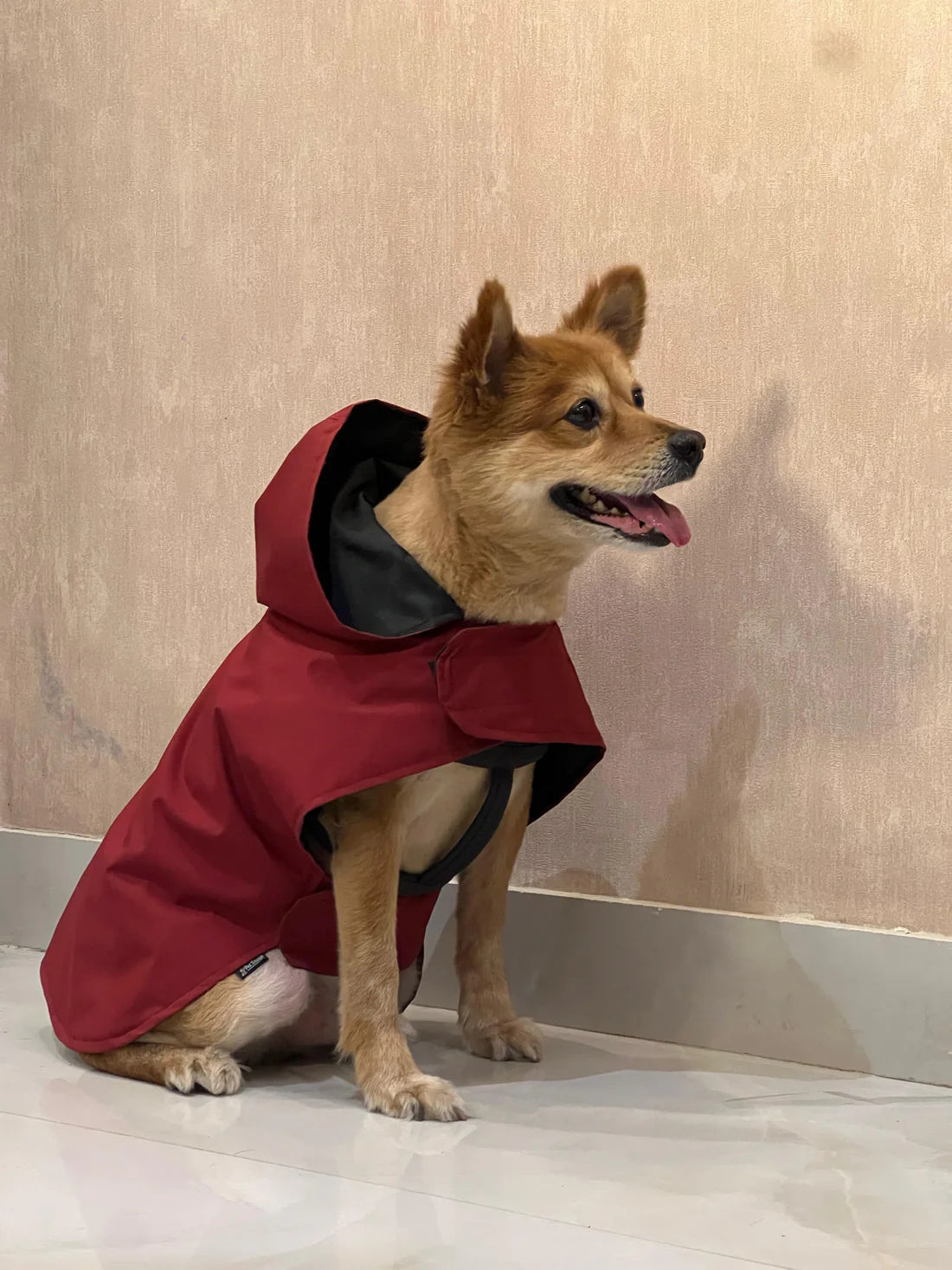 Pet Snugs Maroon Windcheater For Your Furry Friend