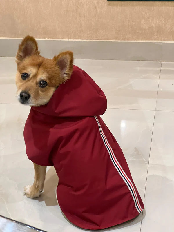 Pet Snugs Maroon Windcheater For Your Furry Friend