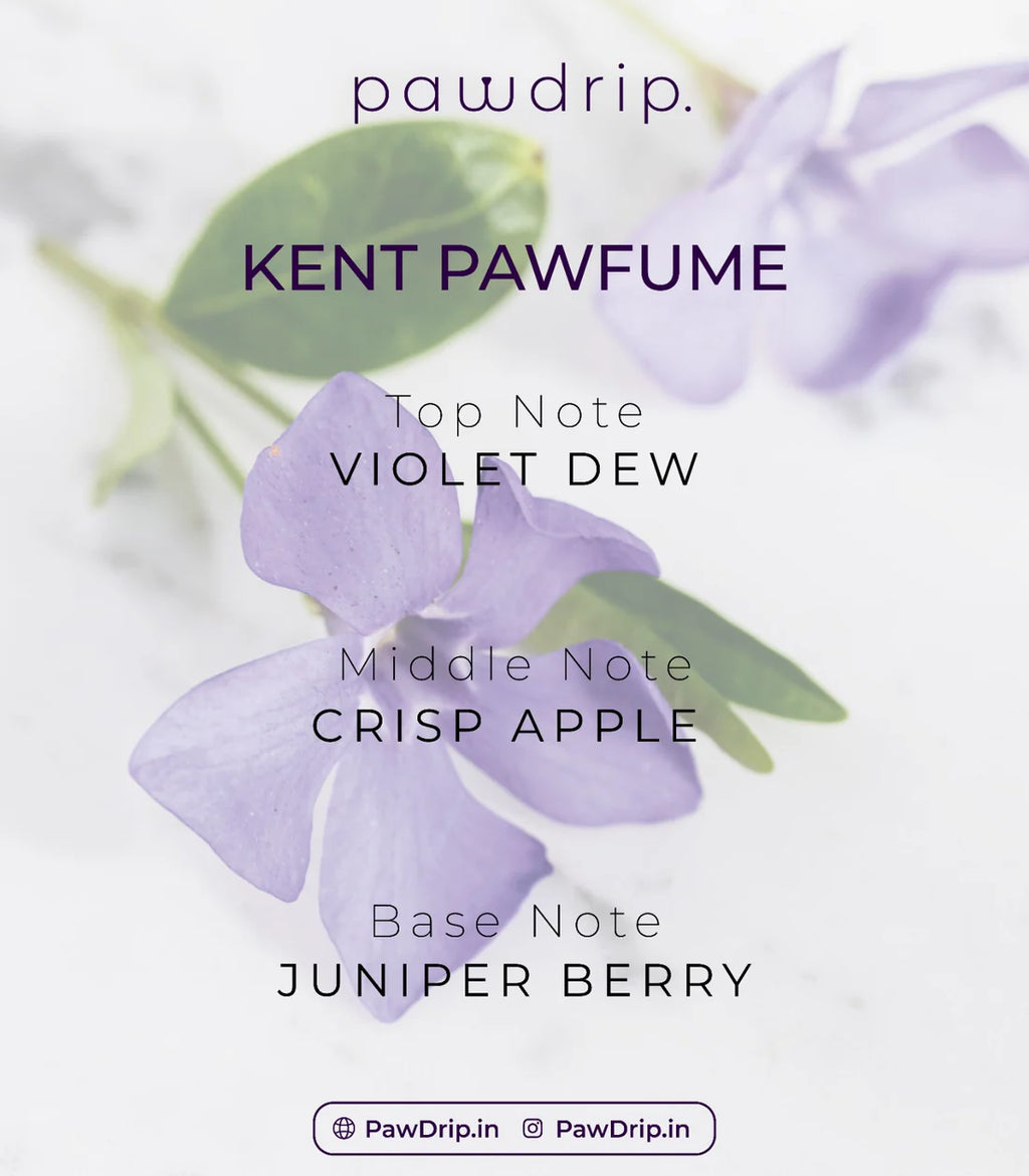Pawdrip Dog Pawfume Set (15ml each of 3 Pawfumes)