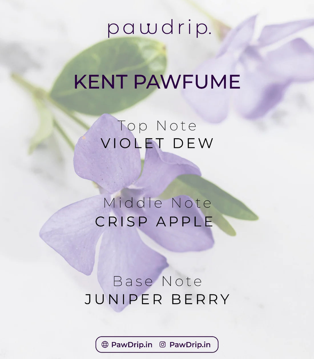 Pawdrip Dog Pawfume Set (15ml each of 3 Pawfumes)