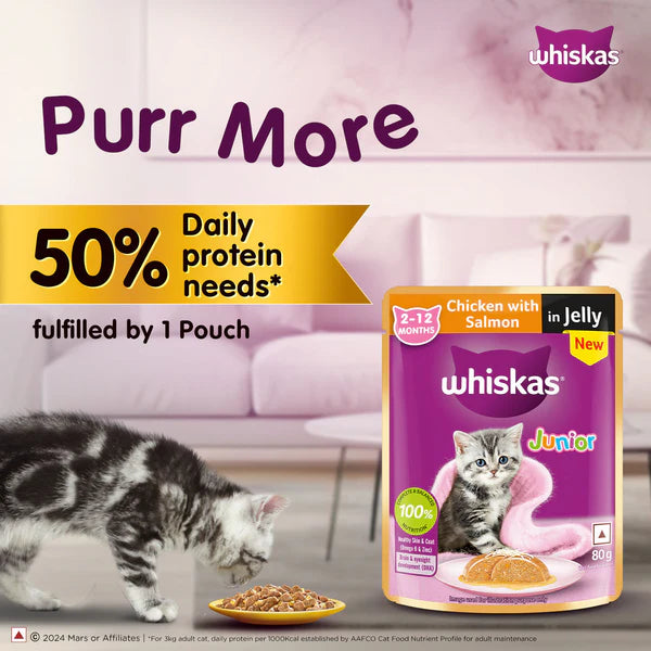 Whiskas Kitten Junior (2-12 Months) Chicken with Salmon in Jelly Wet Cat Food 80g (Pack of 14)
