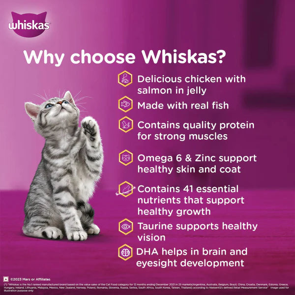 Whiskas Kitten Junior (2-12 Months) Chicken with Salmon in Jelly Wet Cat Food 80g (Pack of 14)