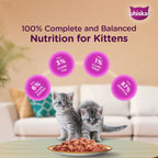 Whiskas Kitten Junior (2-12 Months) Chicken with Salmon in Jelly Wet Cat Food 80g