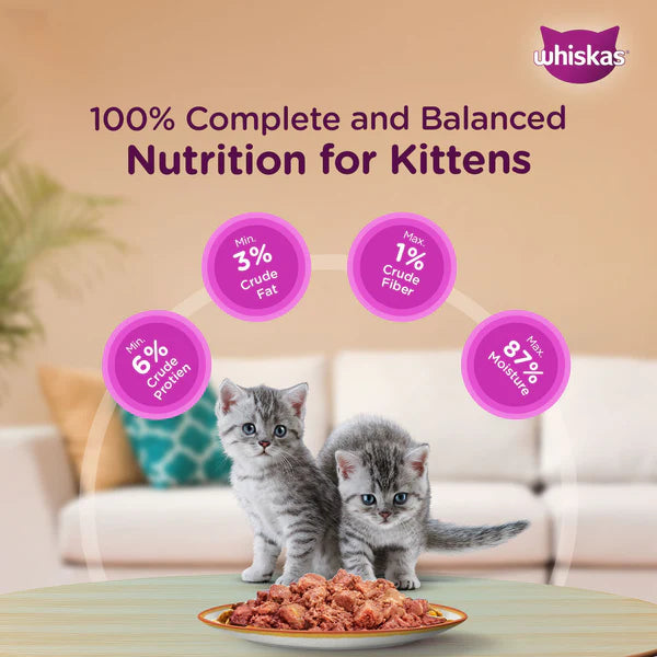 Whiskas Kitten Junior (2-12 Months) Chicken with Salmon in Jelly Wet Cat Food 80g (Pack of 14)